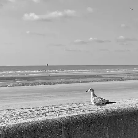 Sigrid & Sea 2 Etoiles, Fort-Mahon Plage Buitenkant foto